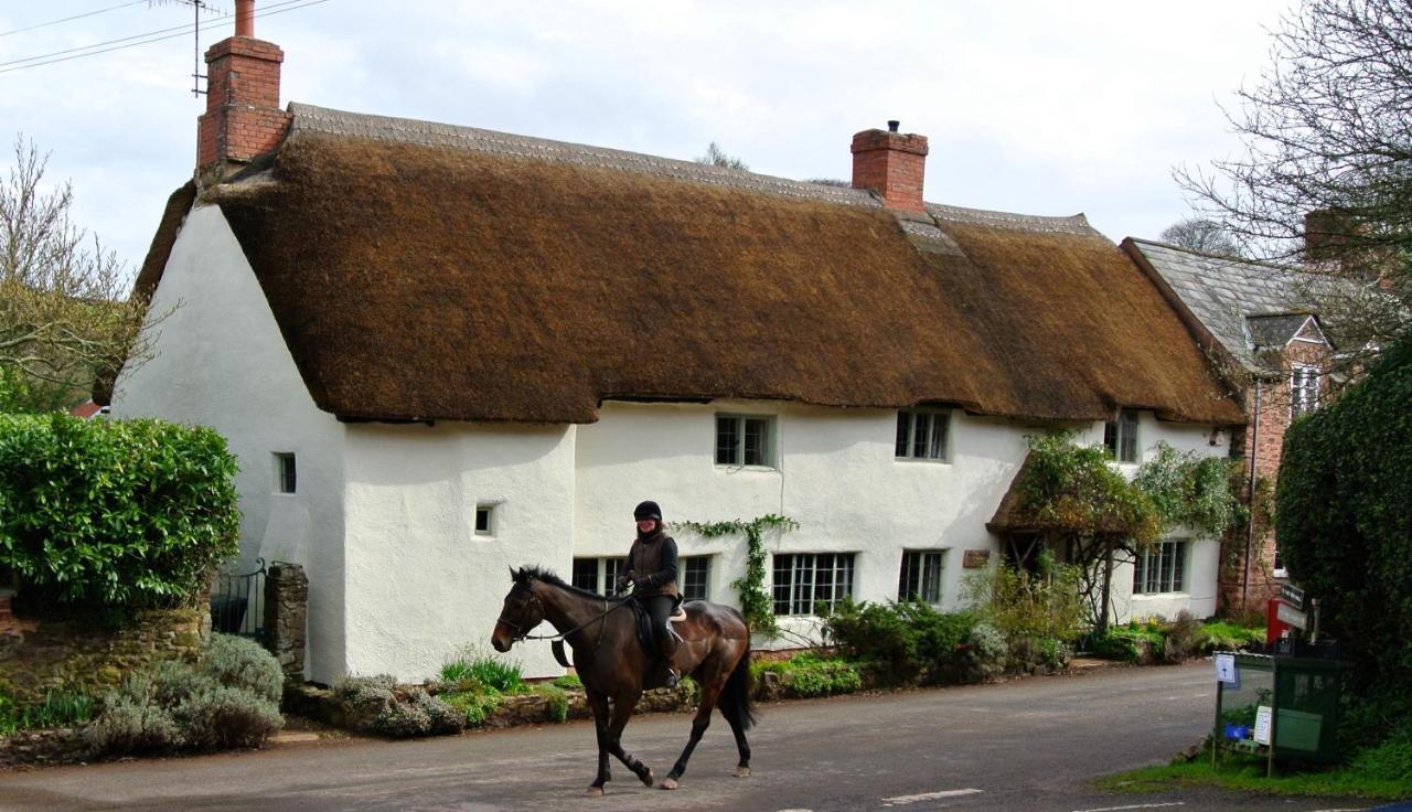 Notley Arms Inn Exmoor National Park Elworthy Esterno foto