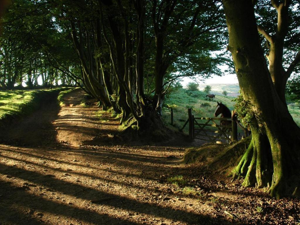 Notley Arms Inn Exmoor National Park Elworthy Esterno foto
